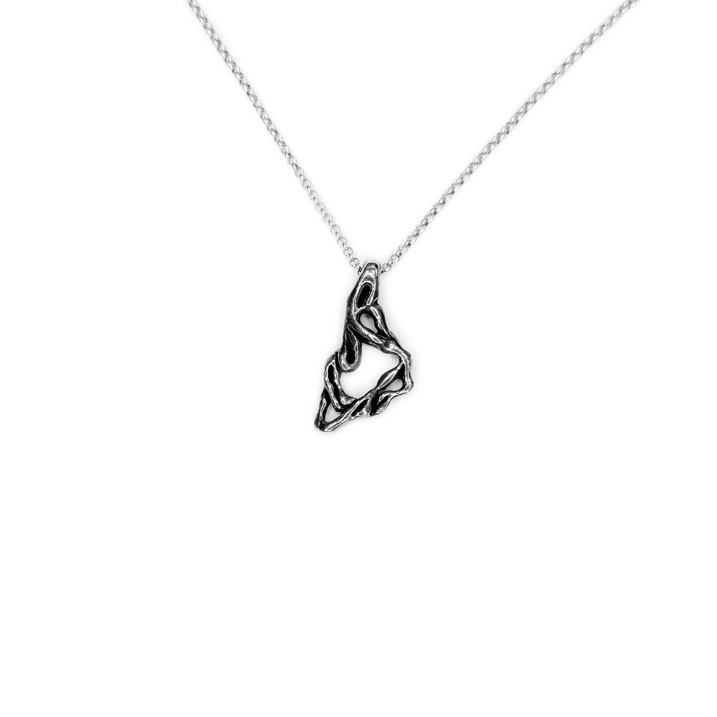 Capricorn Necklace