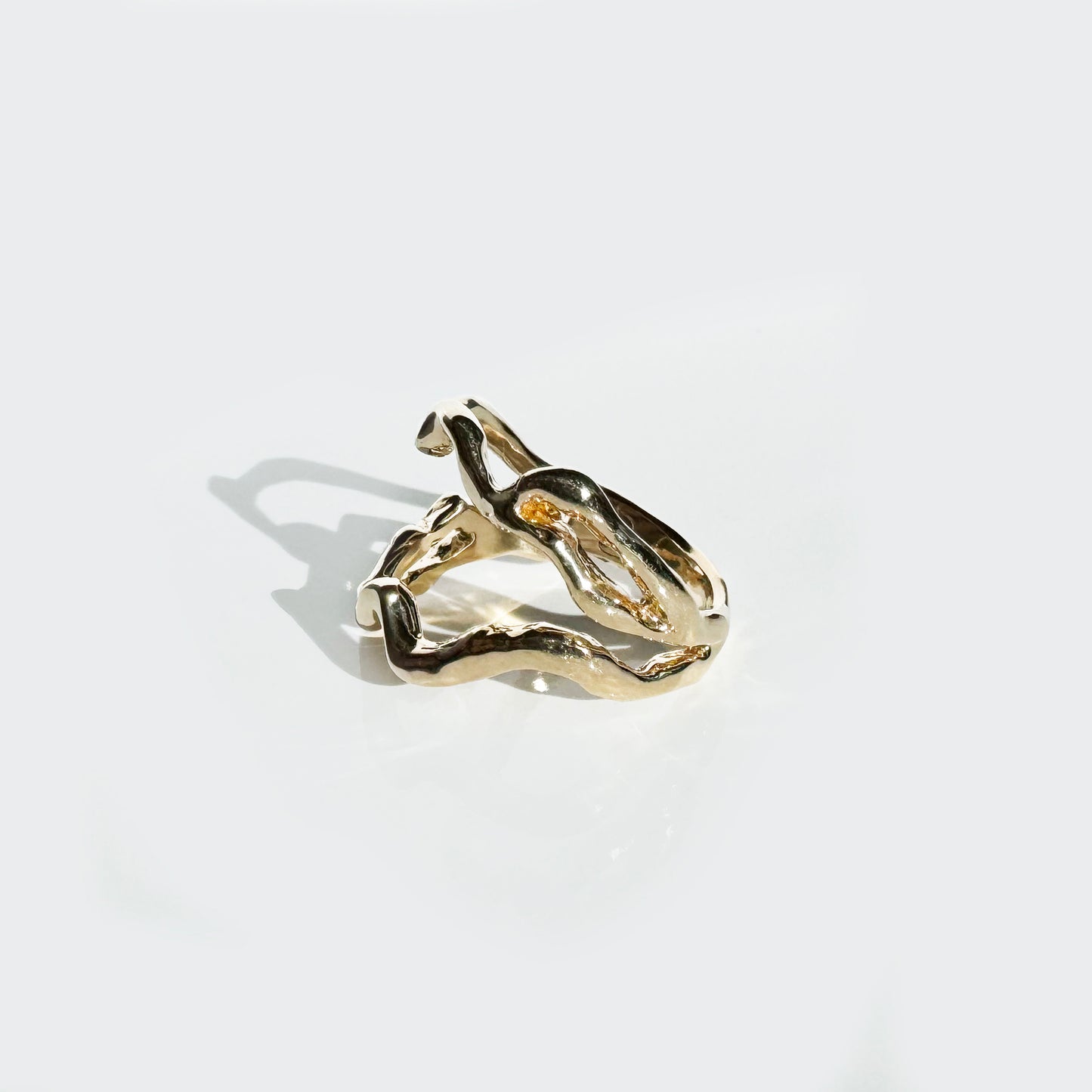 Boca de Ballena 14k Gold Ring