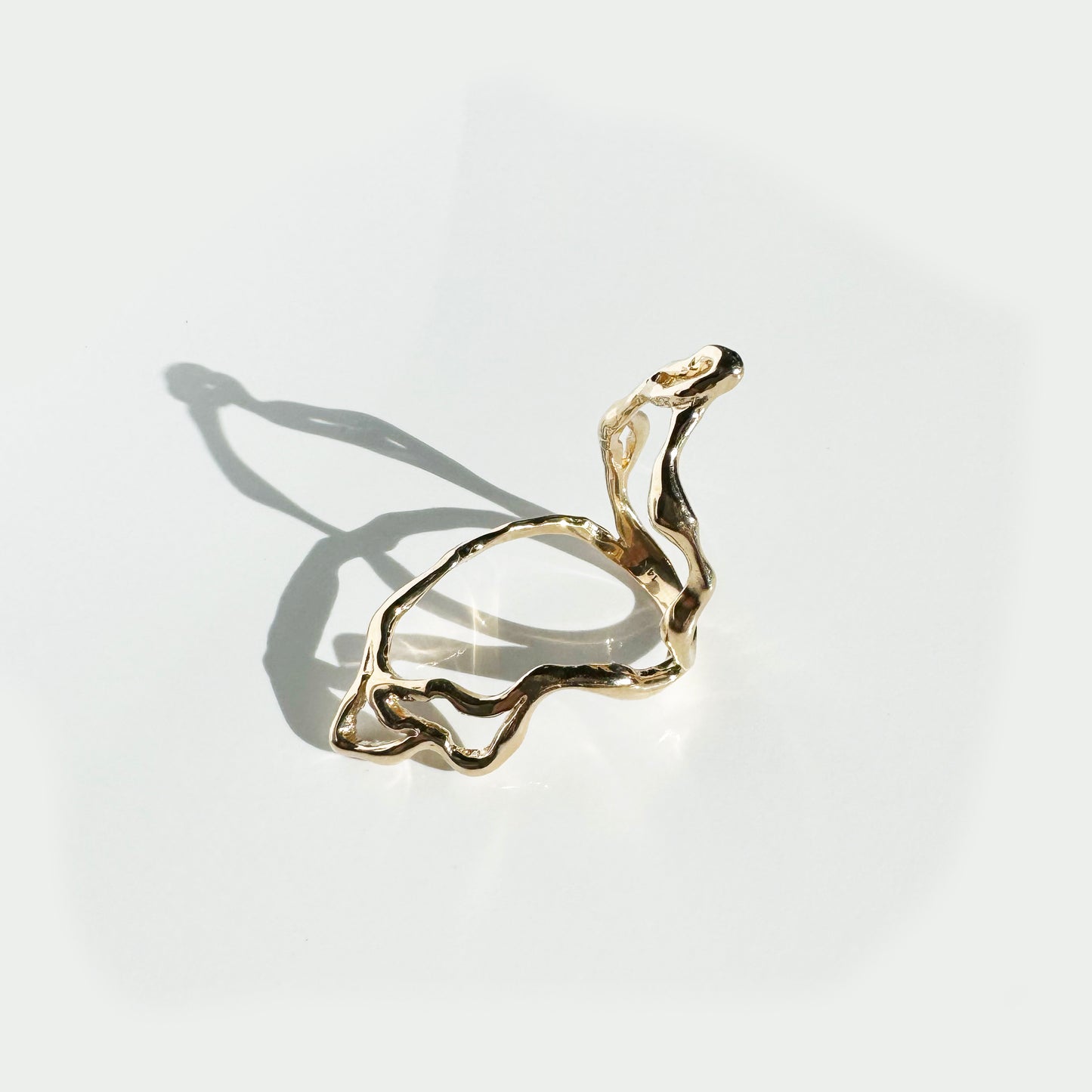 Cavaea 14k Gold Ring