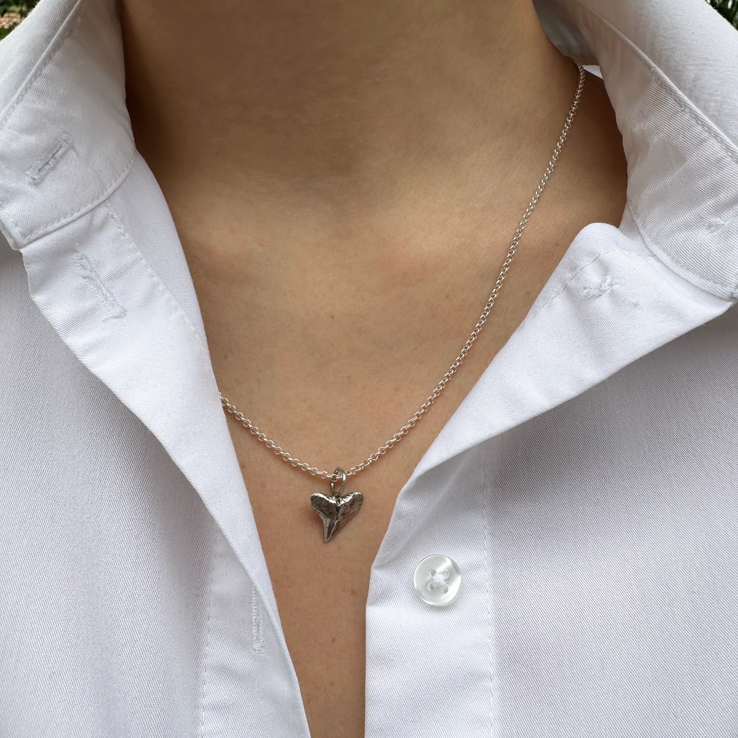 Baby Bull Shark Tooth Necklace