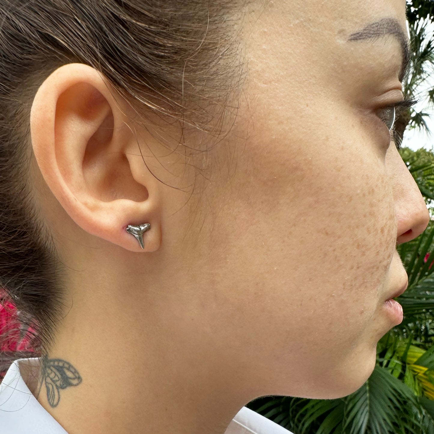 Lemon Shark Tooth Stud Earrings