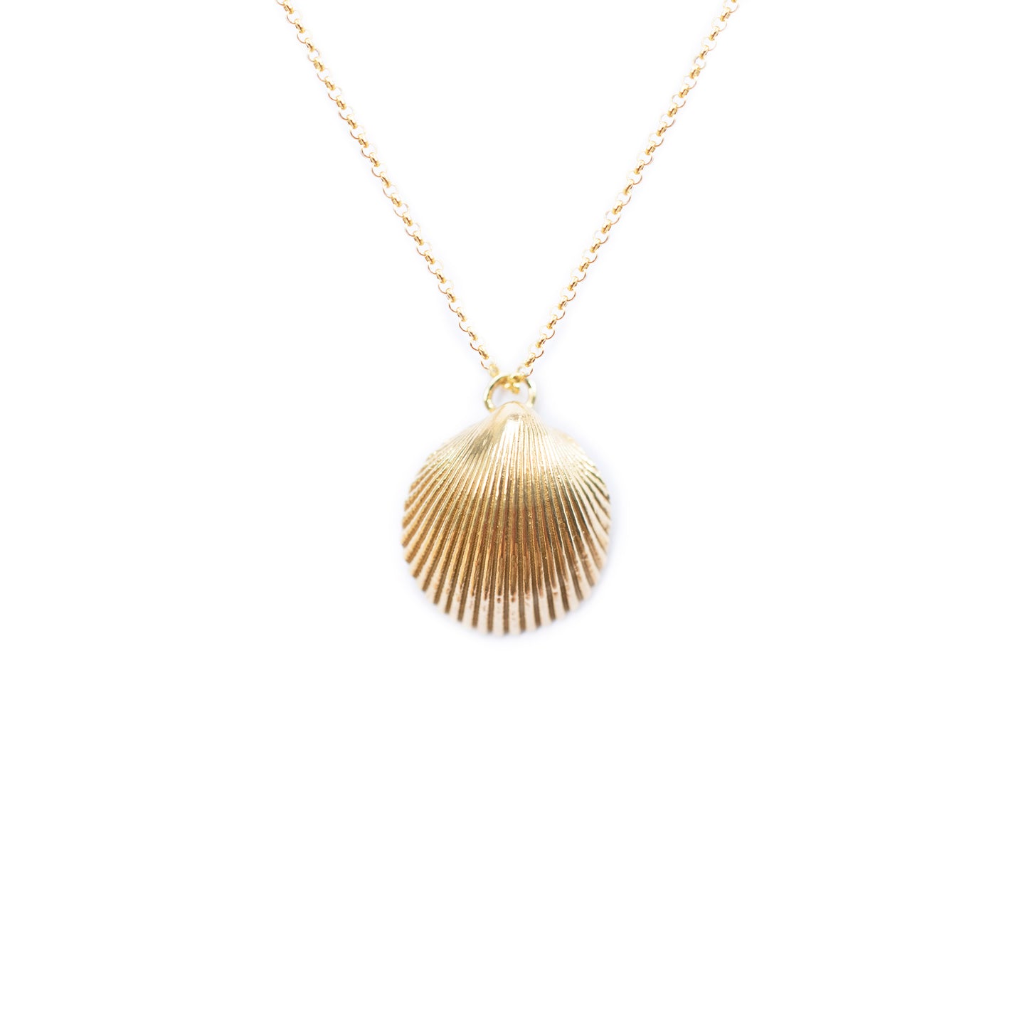Elegant Shell Charm