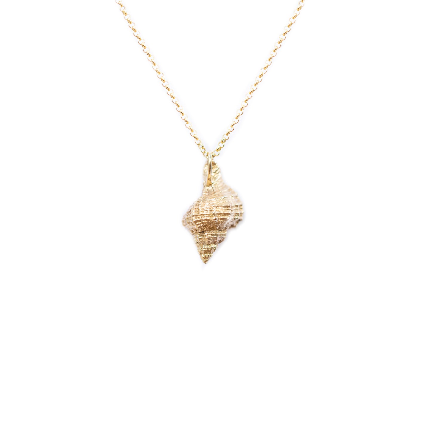 Baby Hermit Shell Charm