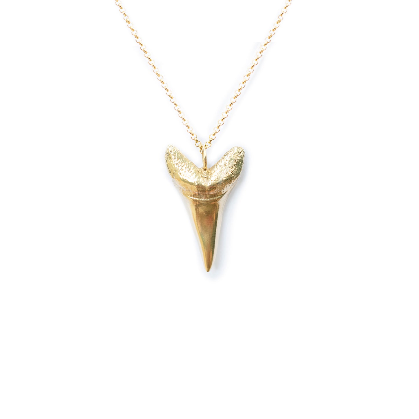 Mako Shark Tooth Necklace