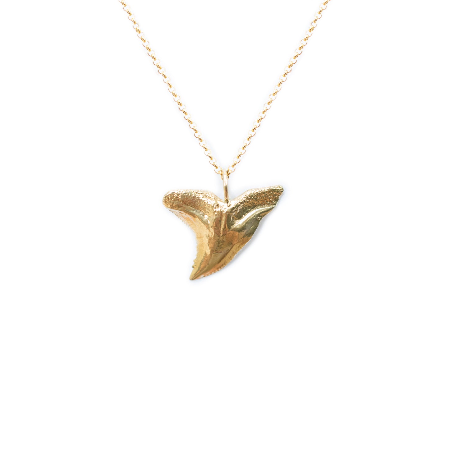 Snaggletooth Shark Tooth Necklace