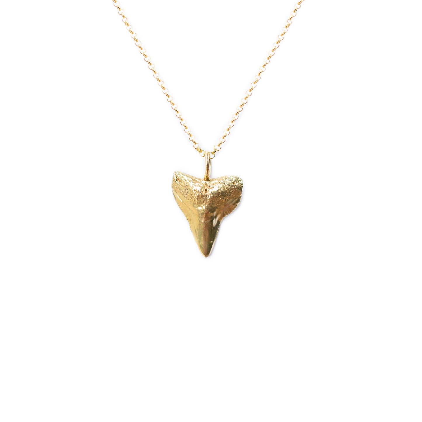 Bull Shark Straight Tooth Necklace