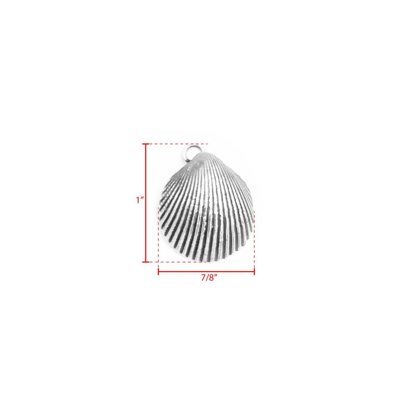 Elegant Shell Charm