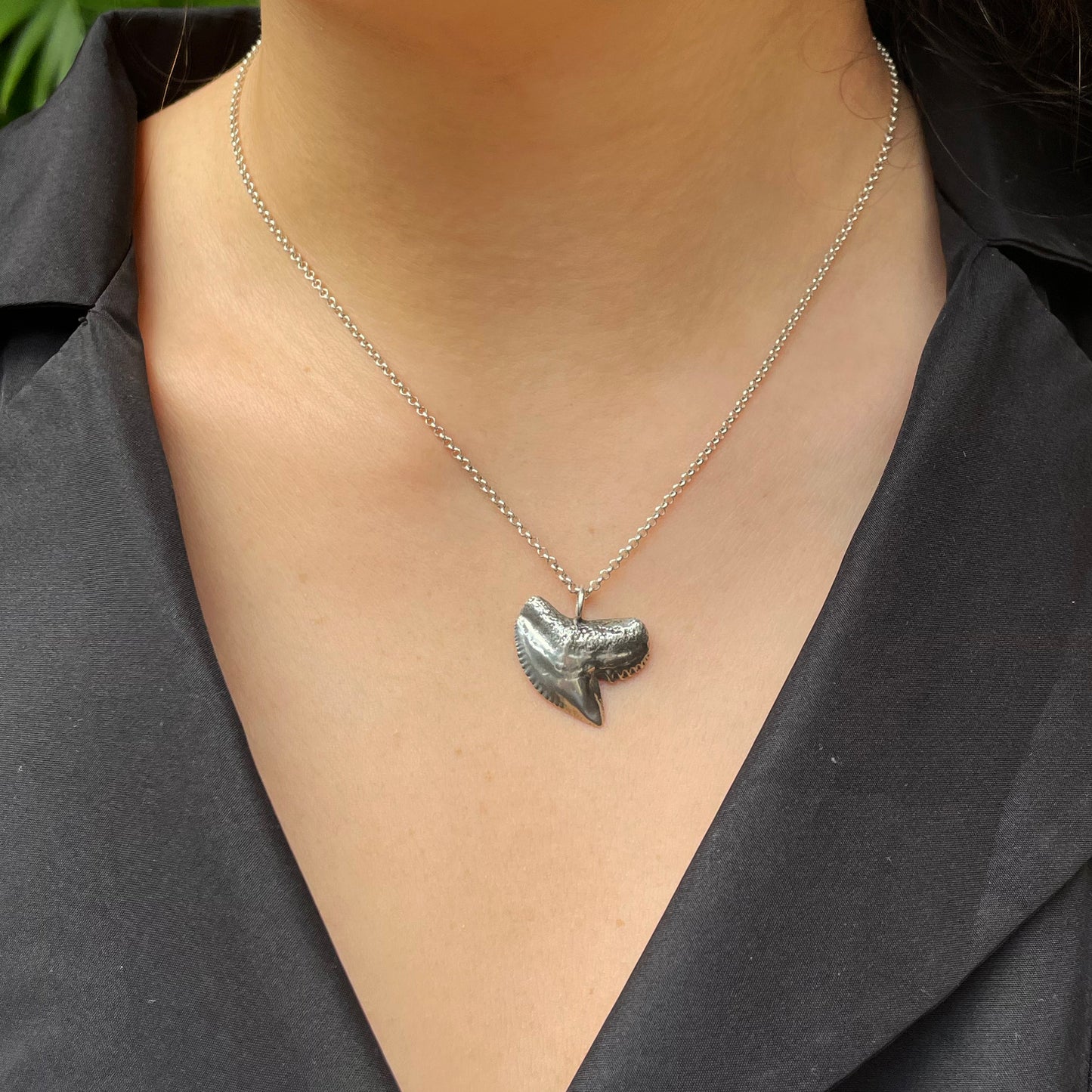 Tiger Shark Tooth Necklace