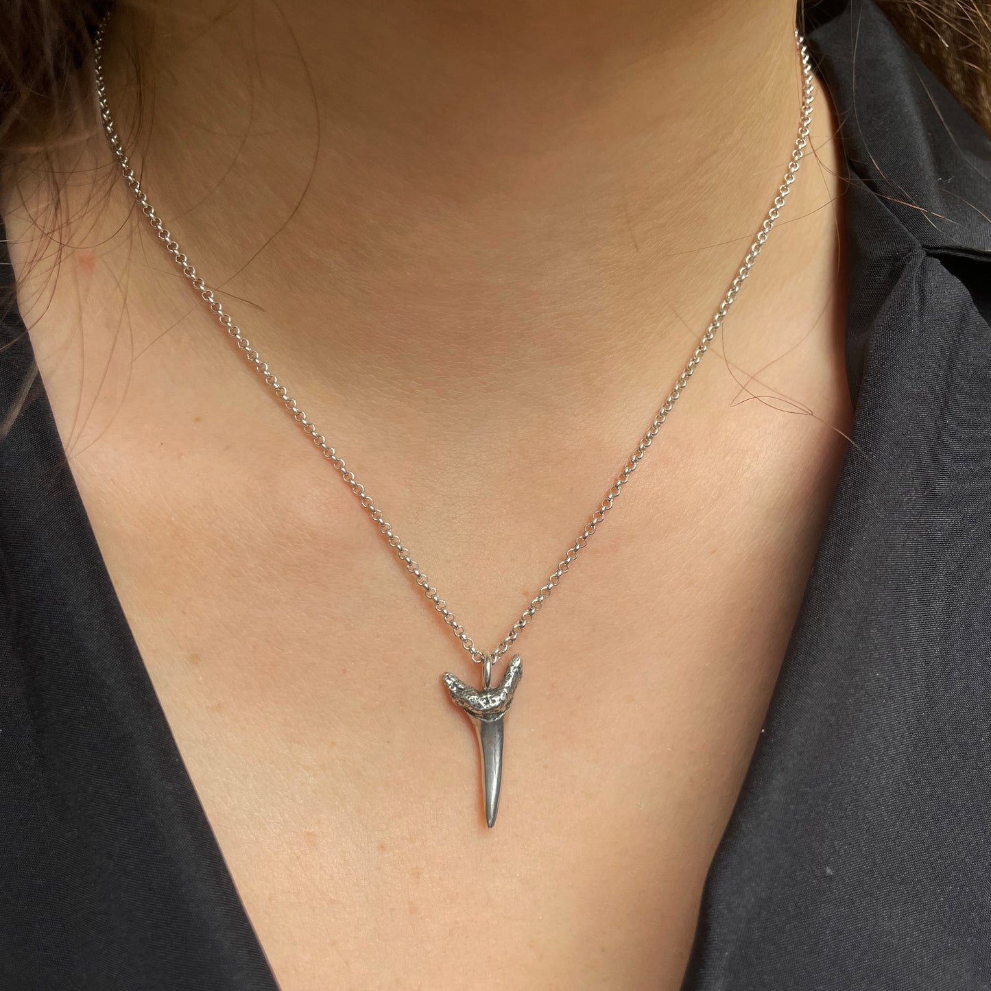 Sand Tiger Shark Tooth Necklace