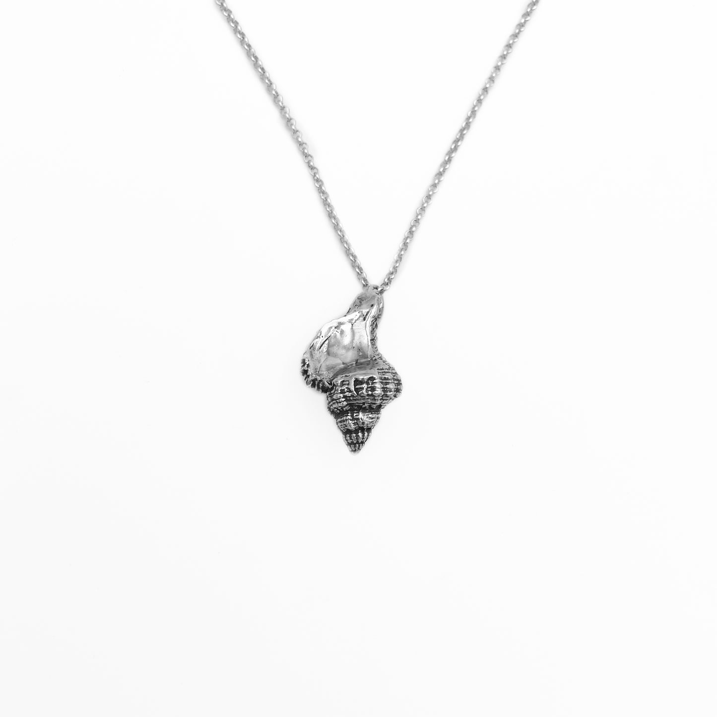 Baby Hermit Shell Charm