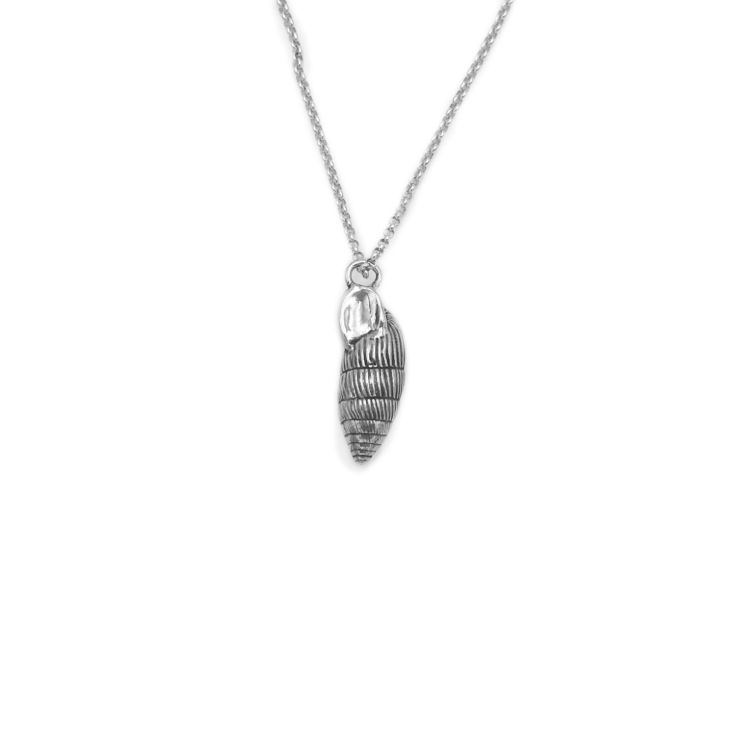 Serenity Shell Charm