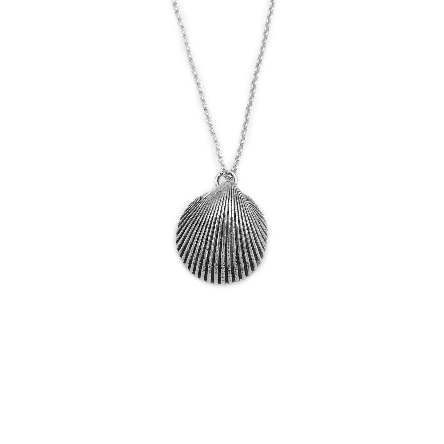 Elegant Shell Charm