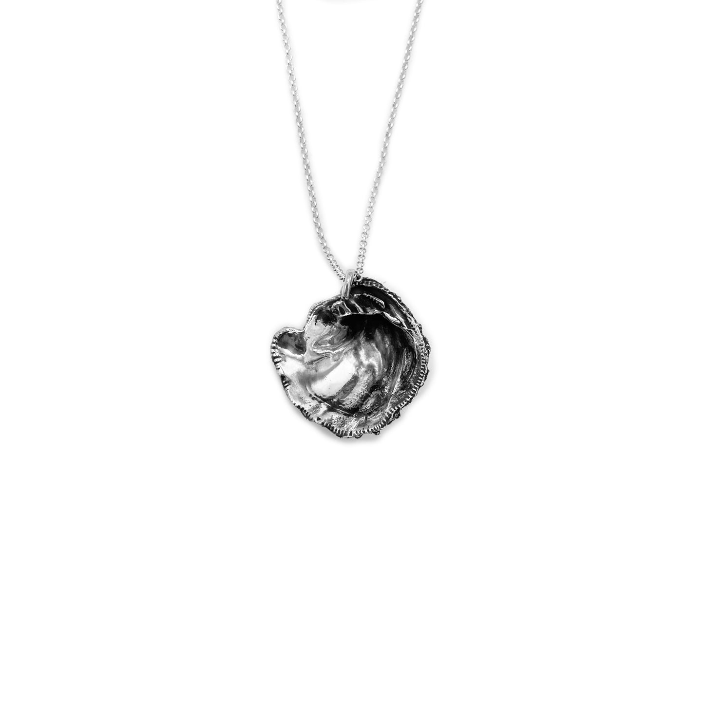 Majestic Shell Charm