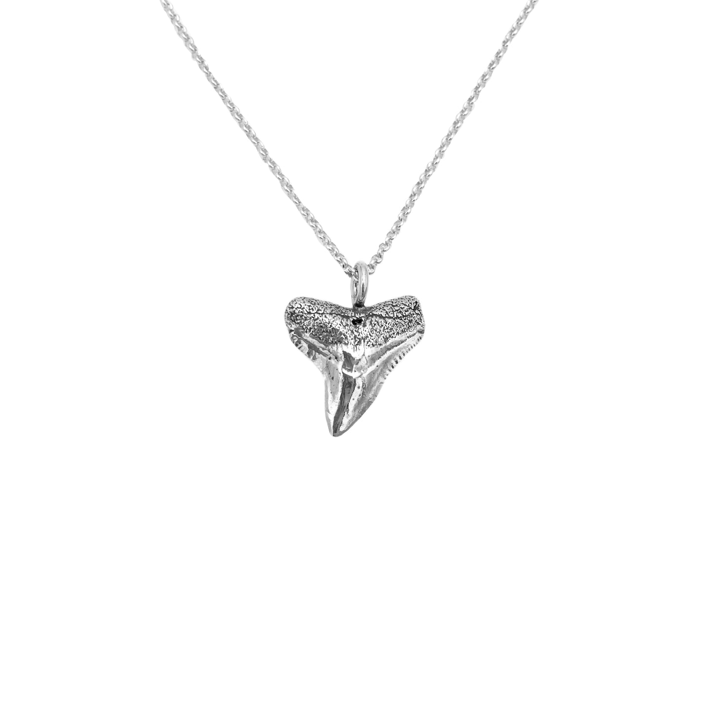 Bull Shark Tooth Necklace - Slanted Shark Tooth Pendant - Gift for Him - Oxidized Silver Jewelry - Gorgeous Shark Tooth Necklace