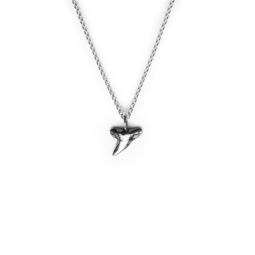 Hammerhead Shark Tooth Necklace