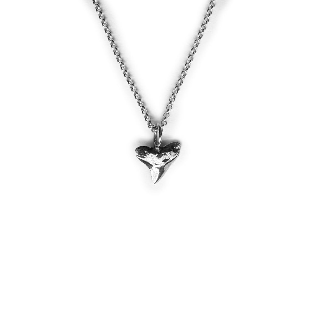 Baby Bull Shark Tooth Necklace
