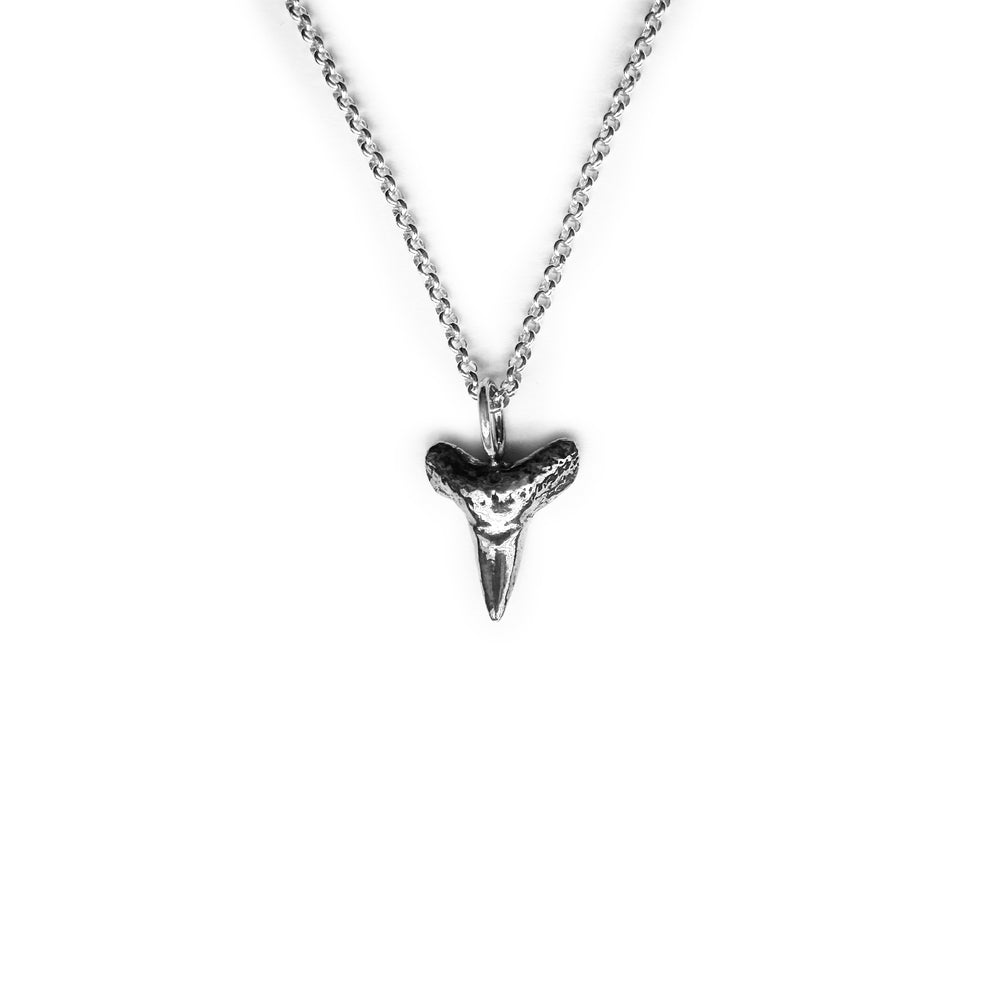 Bull Shark Thin Tooth Necklace