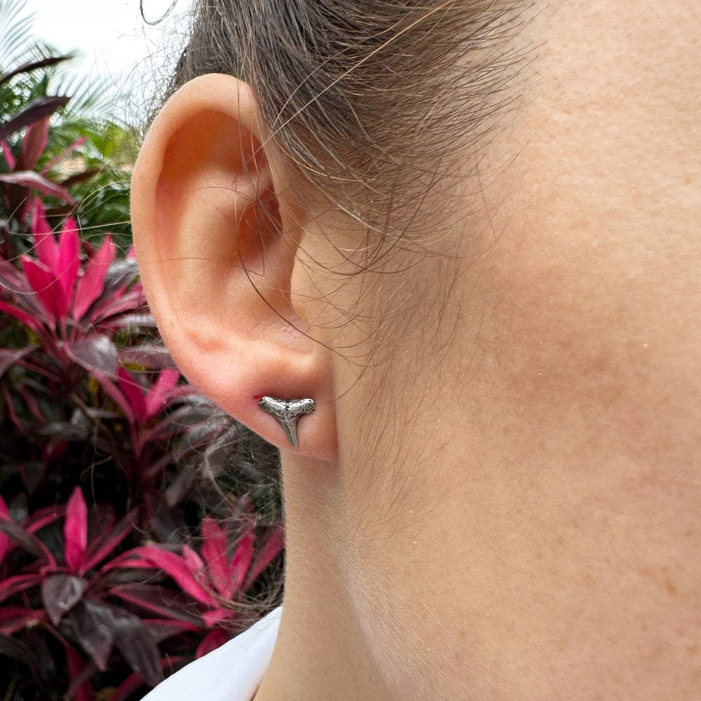 
                  
                    Lemon Shark Tooth Stud Earrings
                  
                