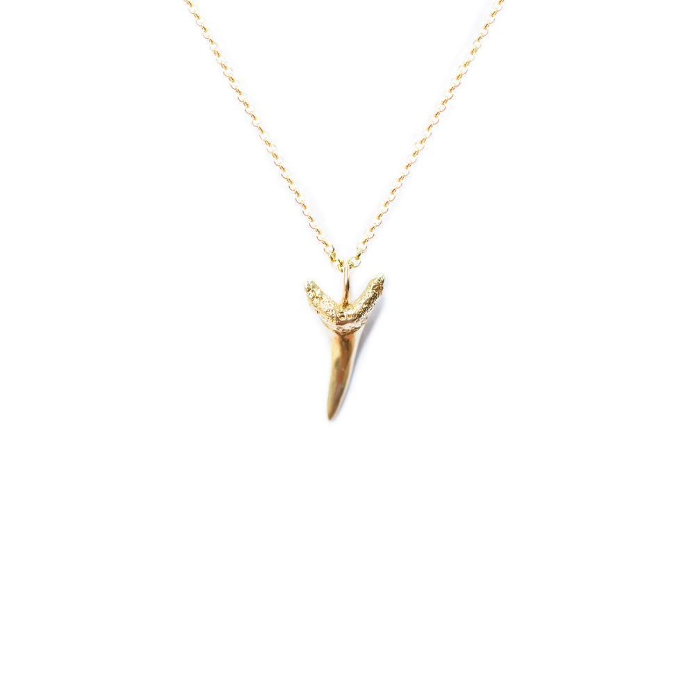 
                  
                    Sand Tiger Shark Tooth Necklace
                  
                