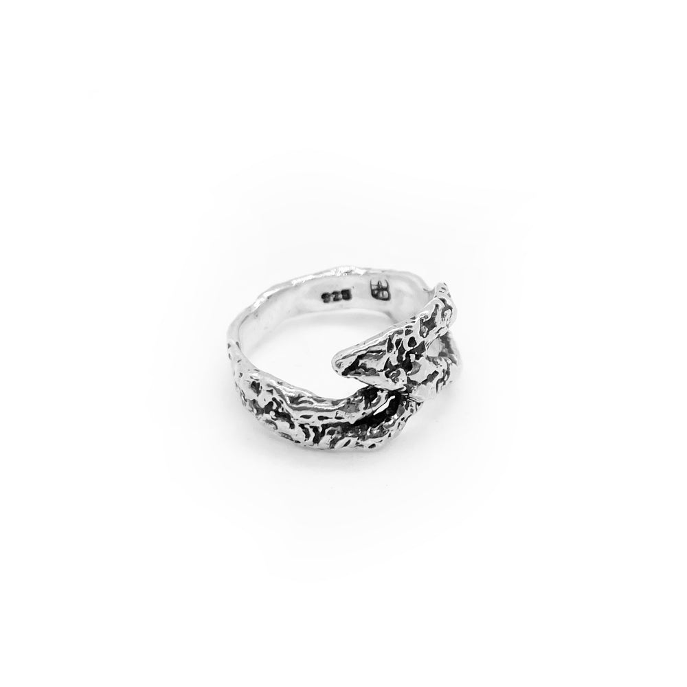 
                  
                    Centaurus Ring - Constellation Ring - Silver Ring High Polish Silver Ring - Antique Silver Ring - Unisex Silver Ring - Statement Ring
                  
                