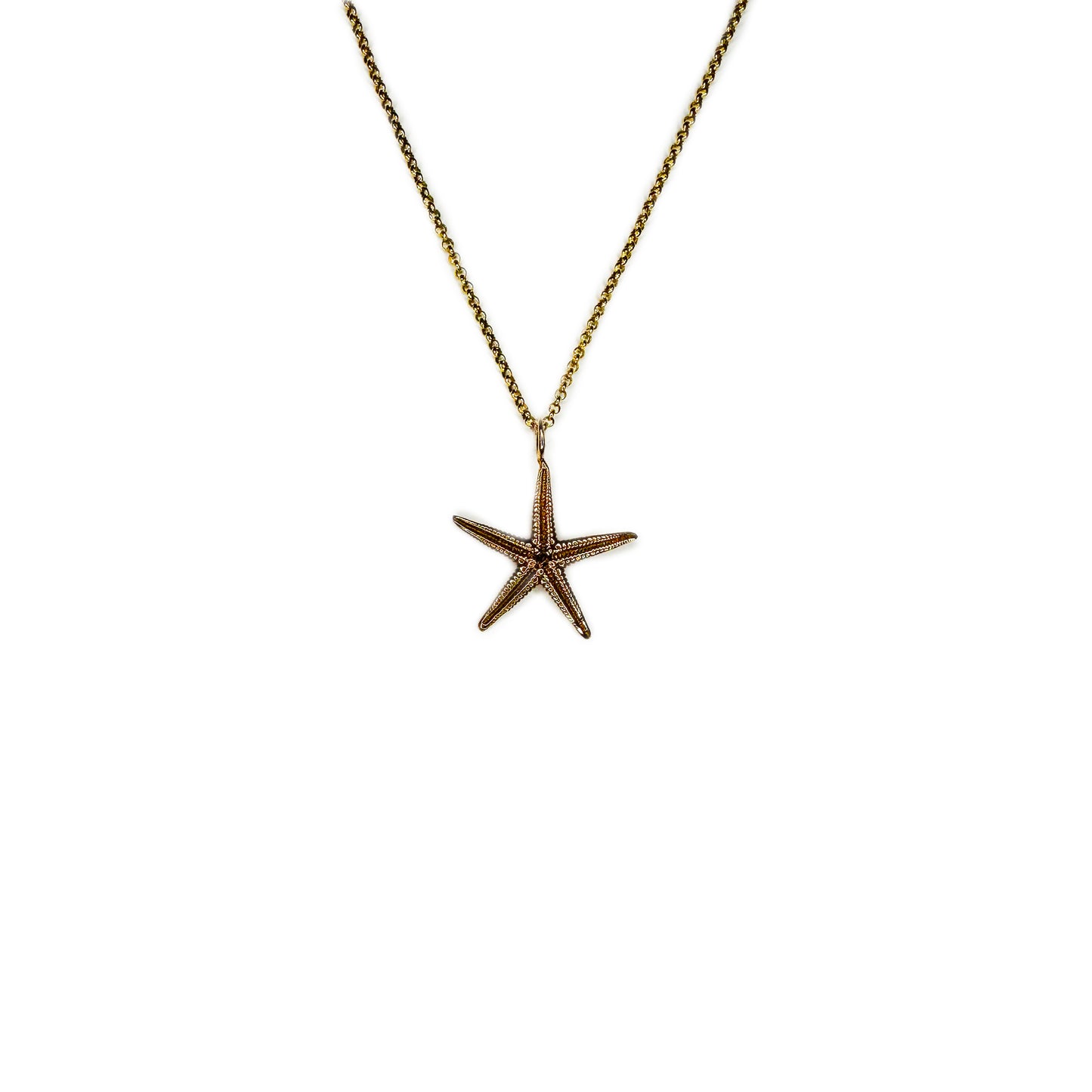 
                  
                    Small Starfish Necklace
                  
                