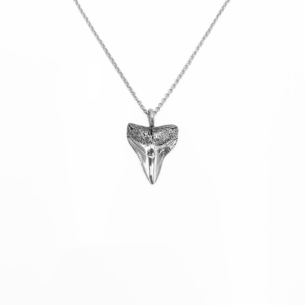 Bull Shark Tooth Necklace - Recycled Silver Shark Tooth Necklace - Gift for Him - Oxidized Silver Jewelry - Boyfriend Gift - Men Jewelry