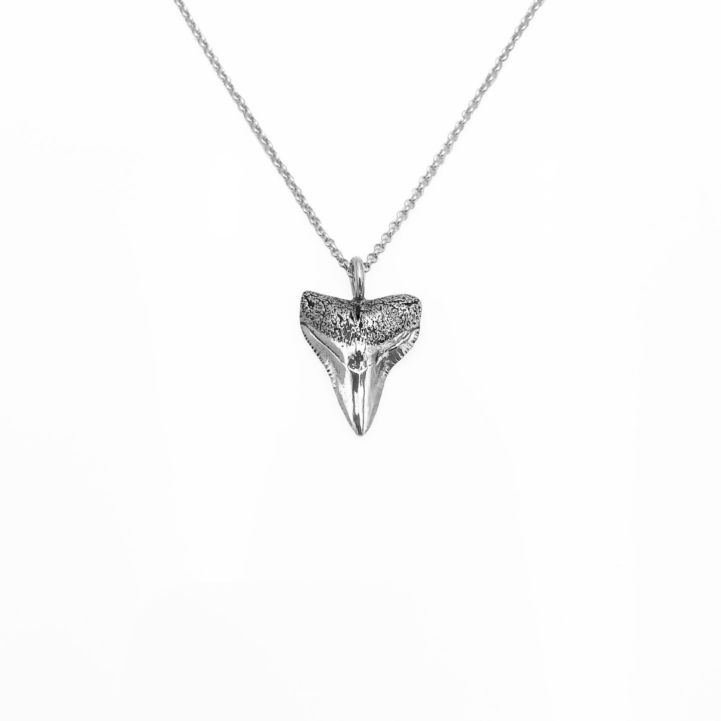 Bull Shark Tooth Necklace - Recycled Silver Shark Tooth Necklace - Gift for Him - Oxidized Silver Jewelry - Boyfriend Gift - Men Jewelry
