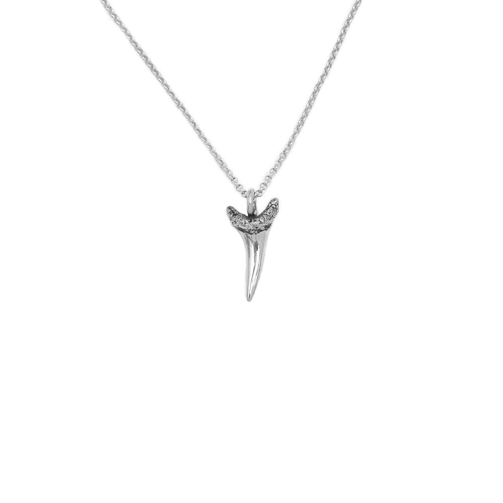 Sterling Silver 925 Shark Tooth Necklace - Sand Tiger Shark Tooth Pendant - Oxidized Silver Jewelry - Sterling Silver Sand Tiger Shark Tooth - Sand Tiger Shark Tooth Necklace - Recycled Sterling Silver Shark Tooth Necklace - Gift for Him - Oxidized Silver Jewelry - Boyfriend gift