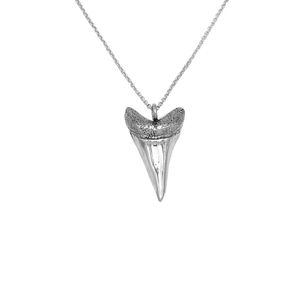 Mako Shark Tooth Necklace – Seijanova